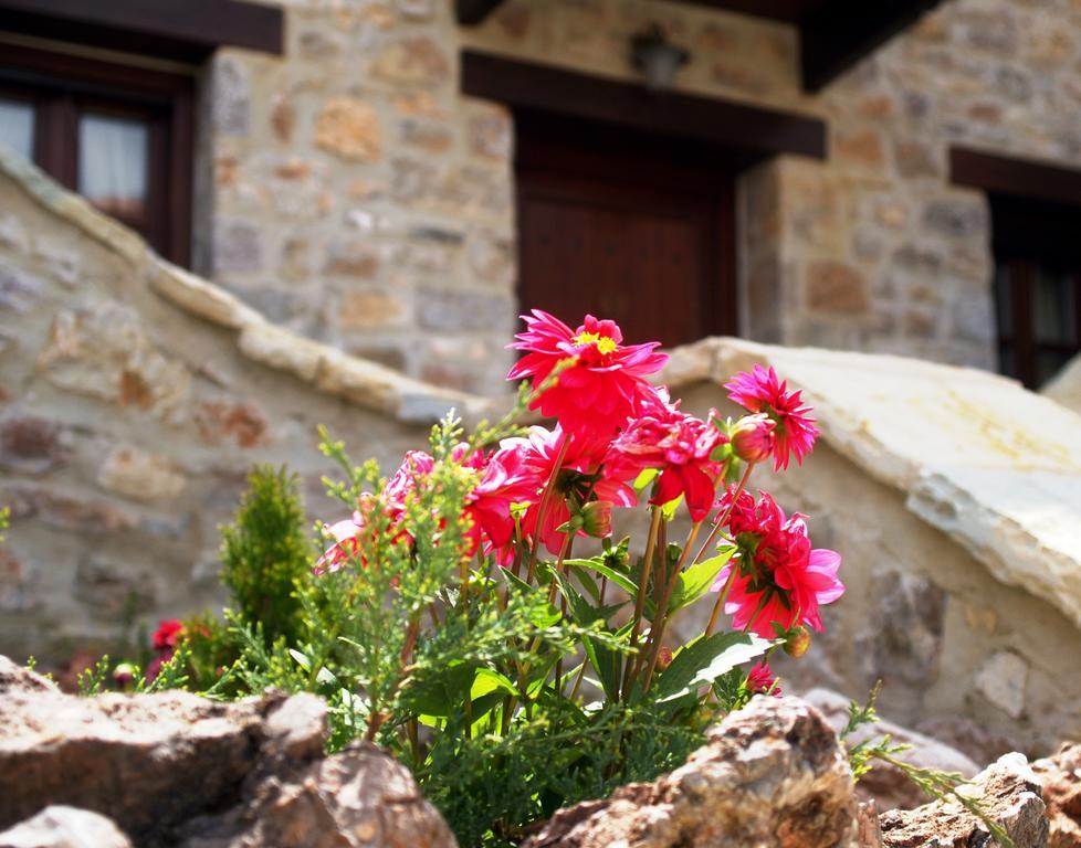 Oihalia Guesthouse Fidhákia Екстериор снимка